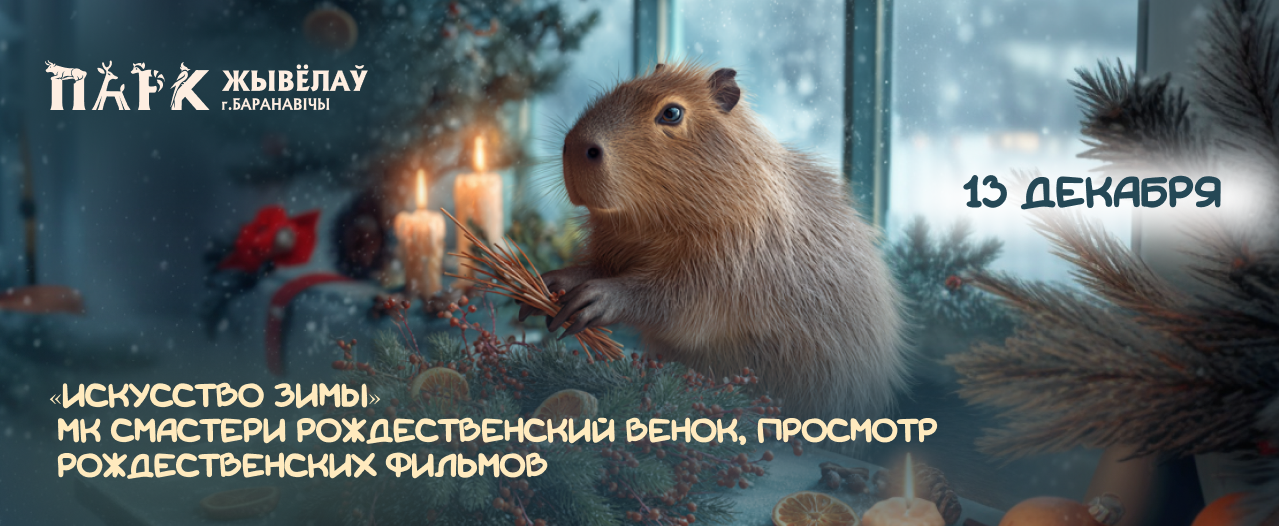 МАСТЕР-КЛАСС ПО ПЛЕТЕНИЮ НОВОГОДНИХ ВЕНКОВ 