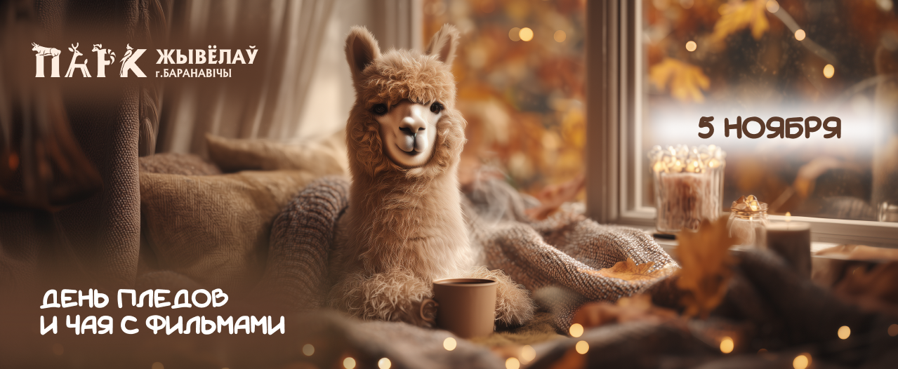 ДЕНЬ ПЛЕДОВ И ЧАЯ С ФИЛЬМАМИ