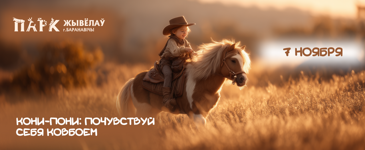 КОНИ-ПОНИ: ПОЧУВСТВУЙ СЕБЯ КОВБОЕМ