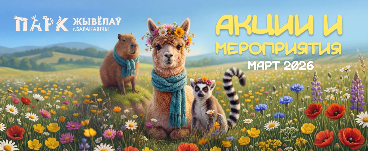 Акции и мероприятия март 2026