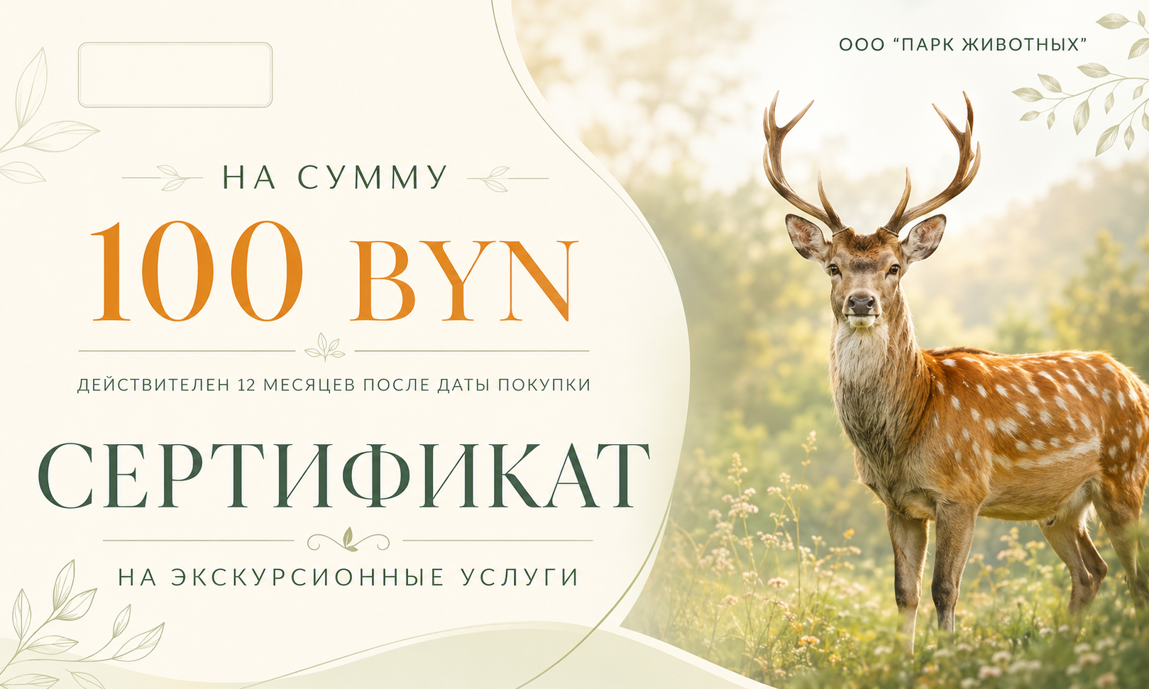 Сертификат на сумму 100р