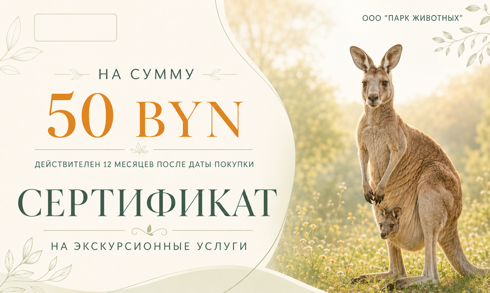 Сертификат на сумму 50р