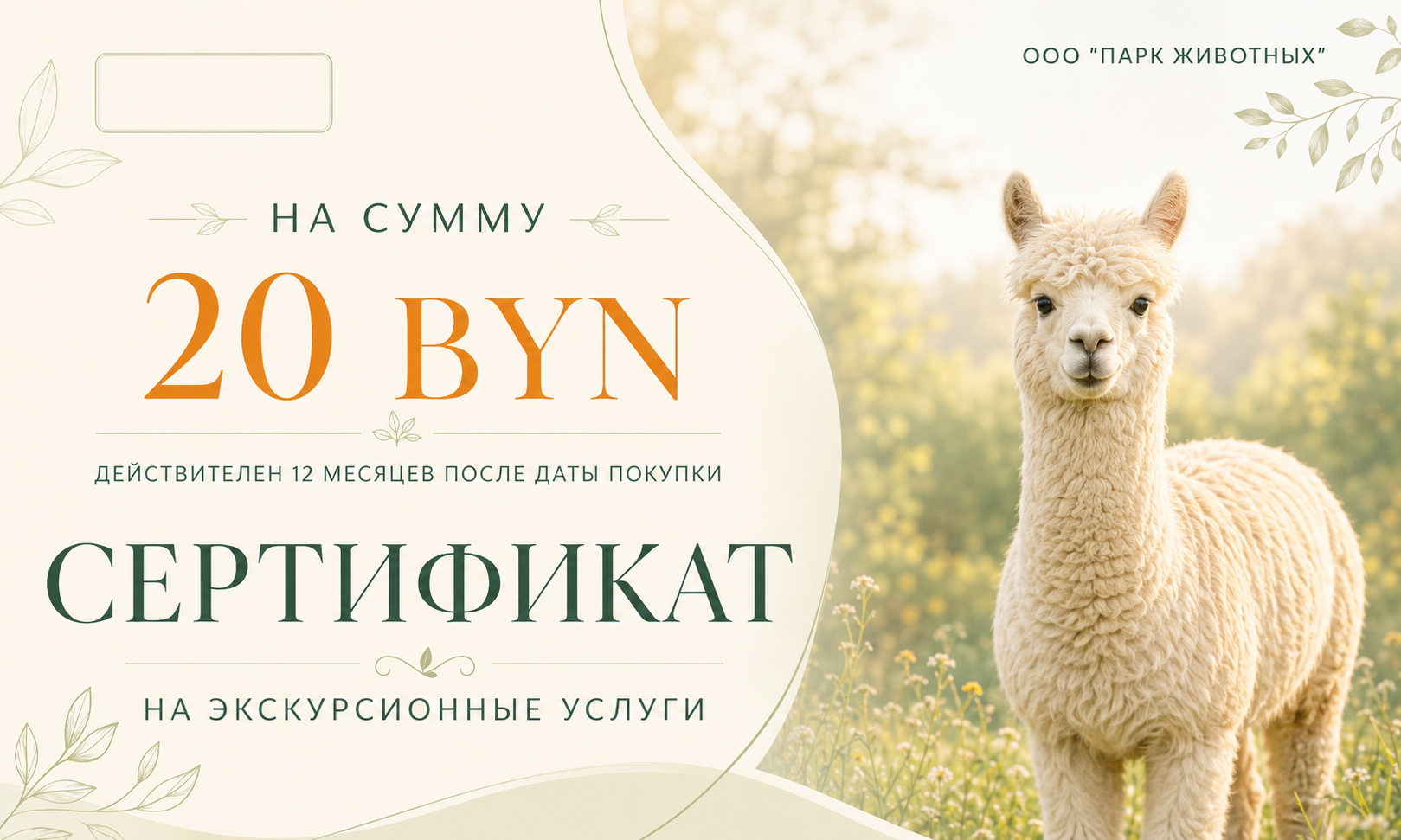 Сертификат на сумму 20р