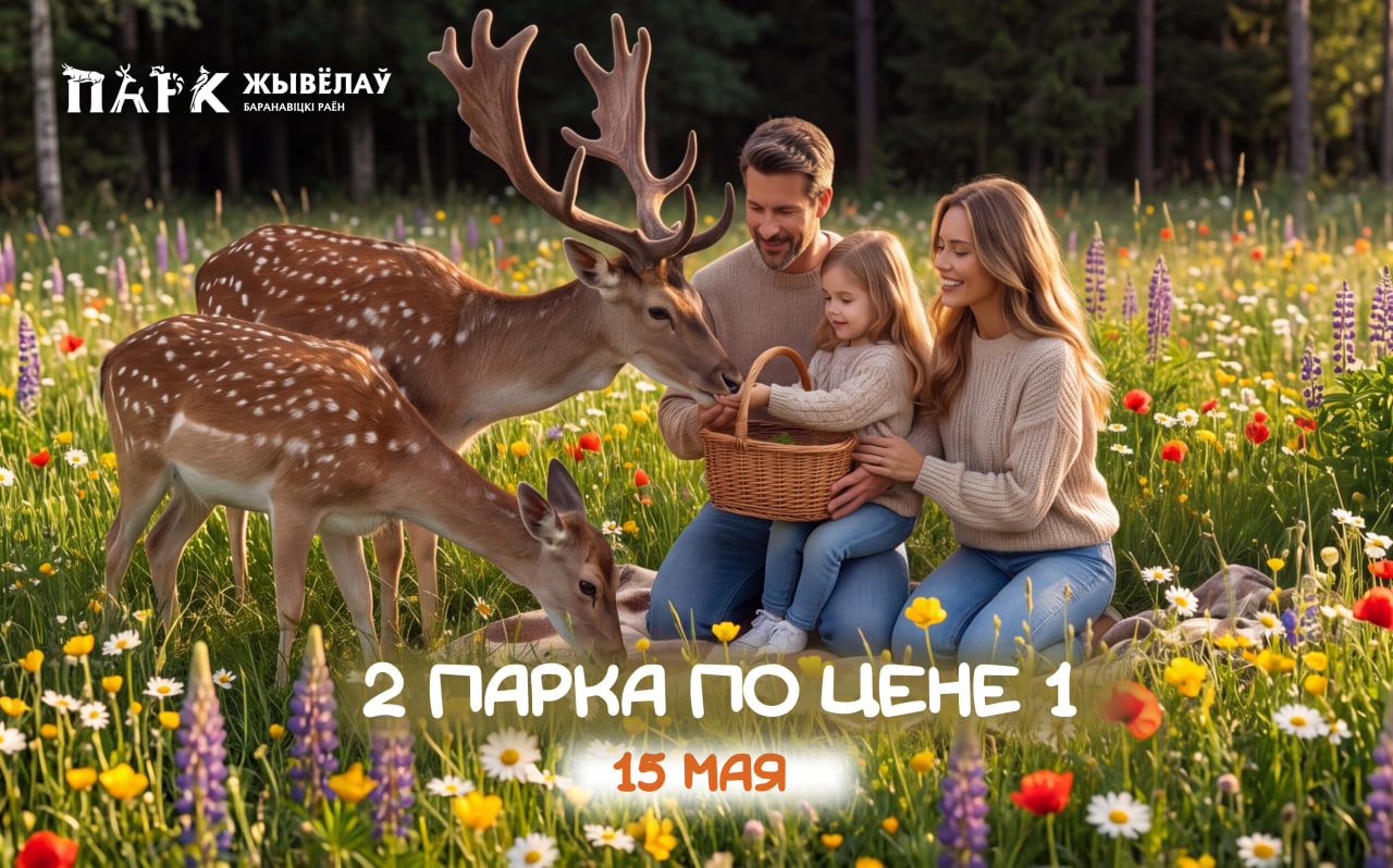 Изображение новости