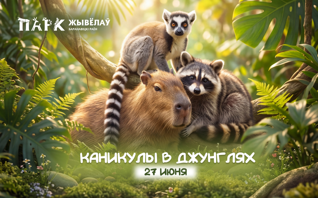 Изображение новости