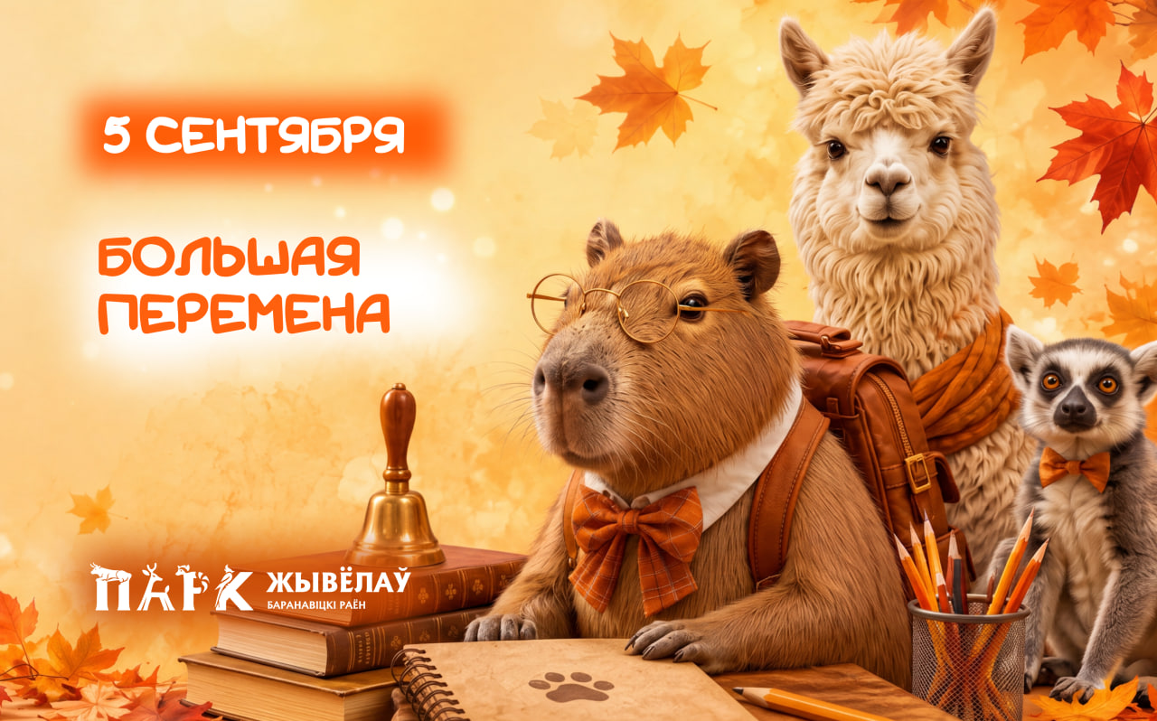 Изображение новости