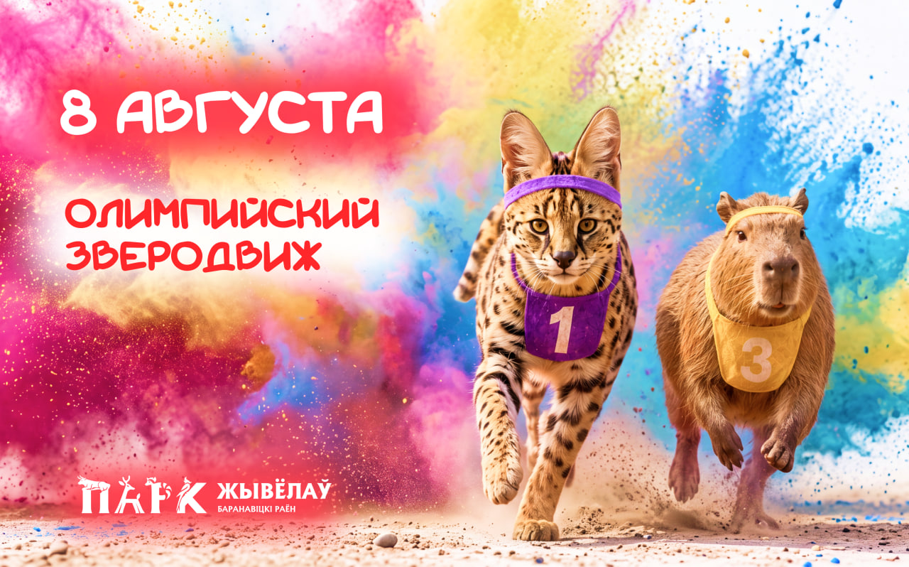 Изображение новости