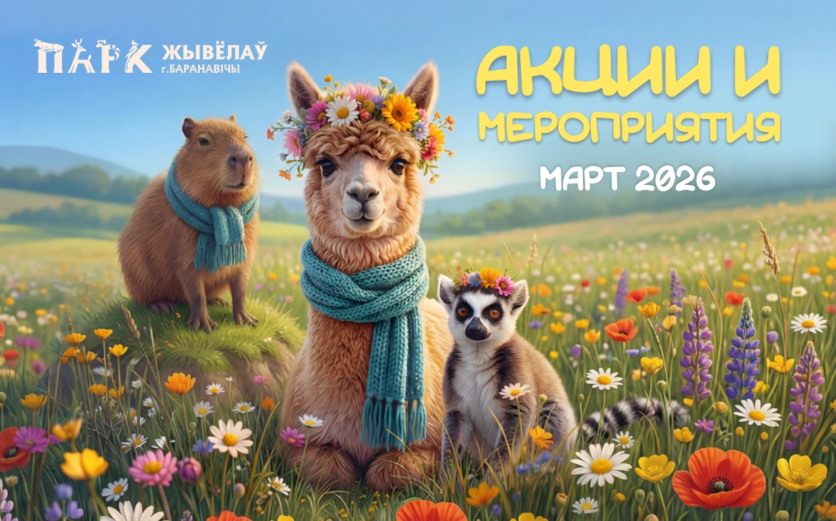 Изображение новости