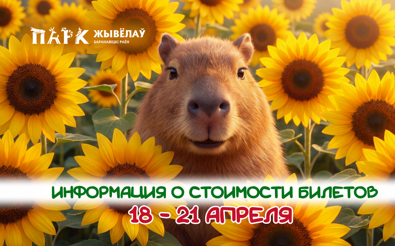 Изображение новости