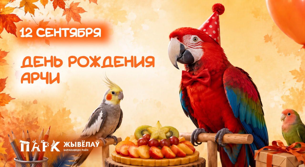 Изображение новости