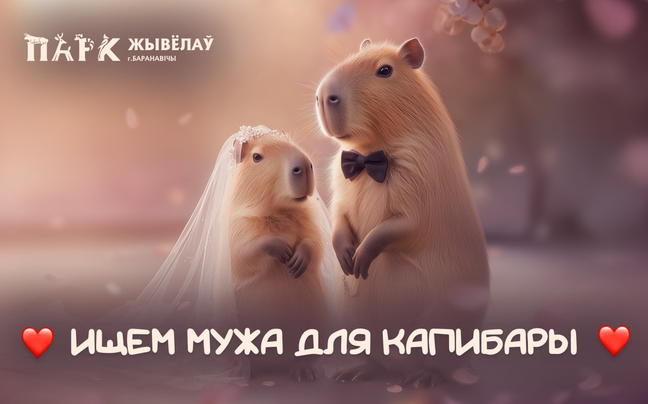 Изображение новости