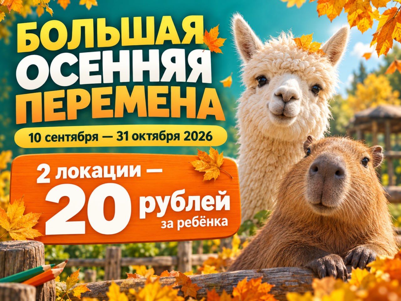 Изображение новости