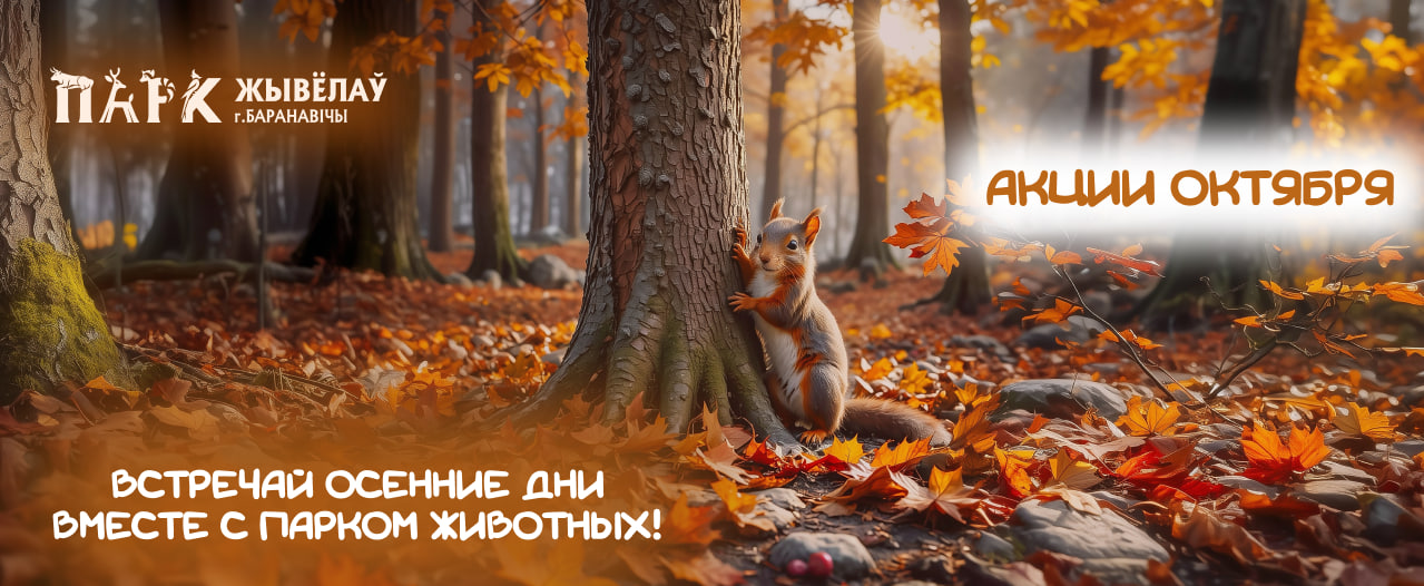 Акции октября