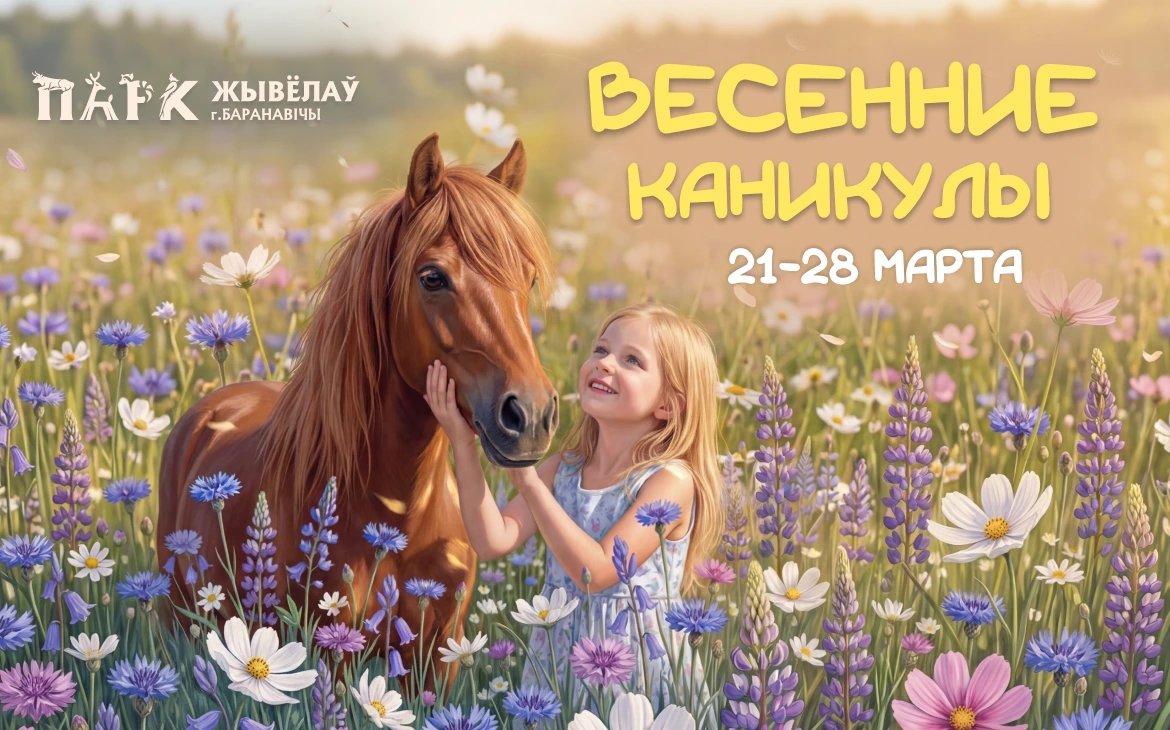 Изображение новости