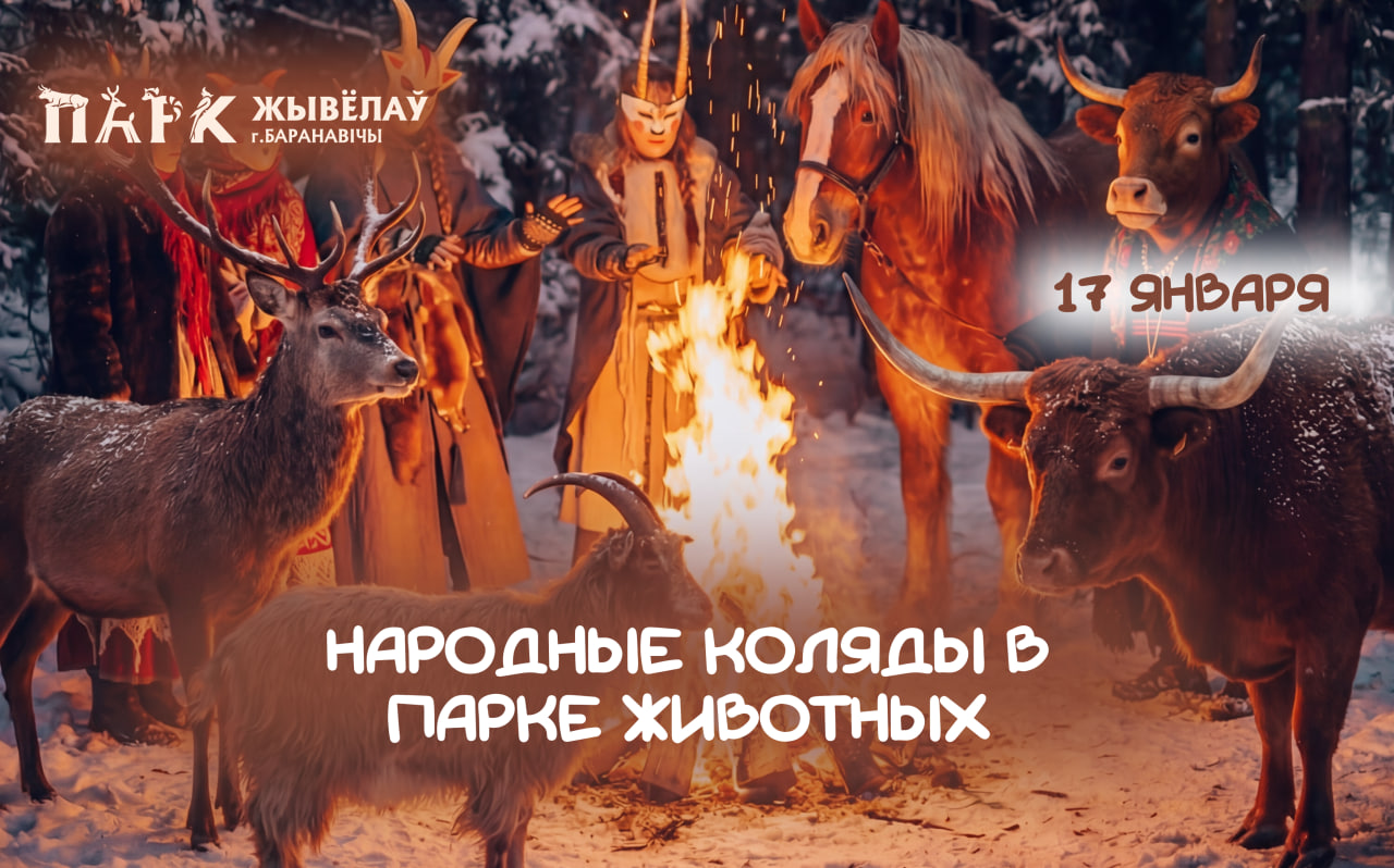 Изображение новости