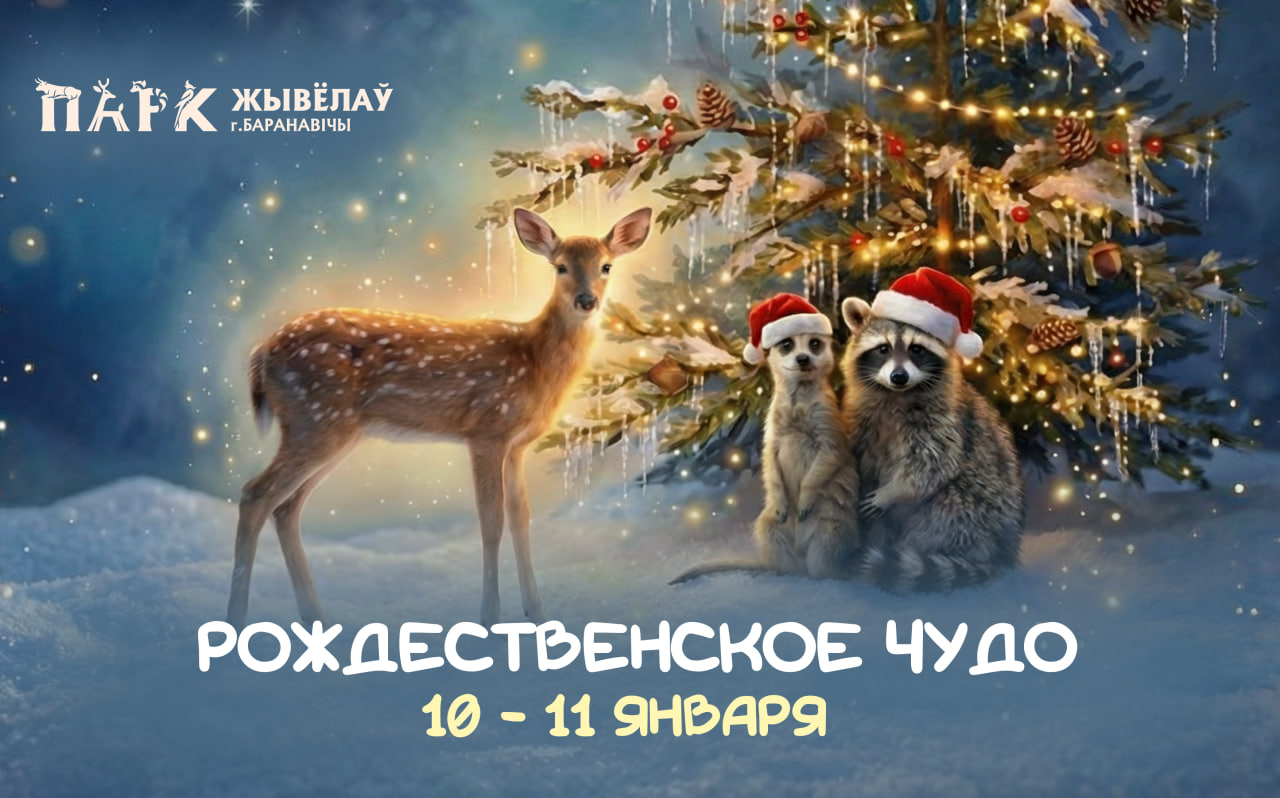 Изображение новости