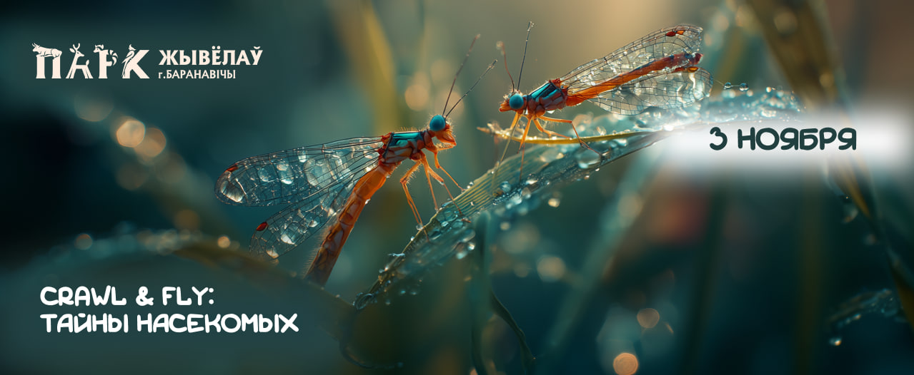 ТАЙНЫ НАСЕКОМЫХ