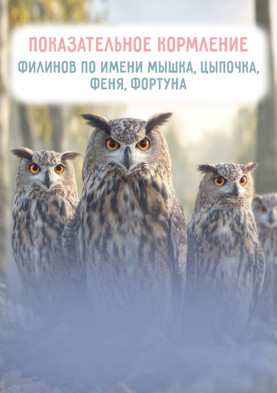 Время кормления: 16:25