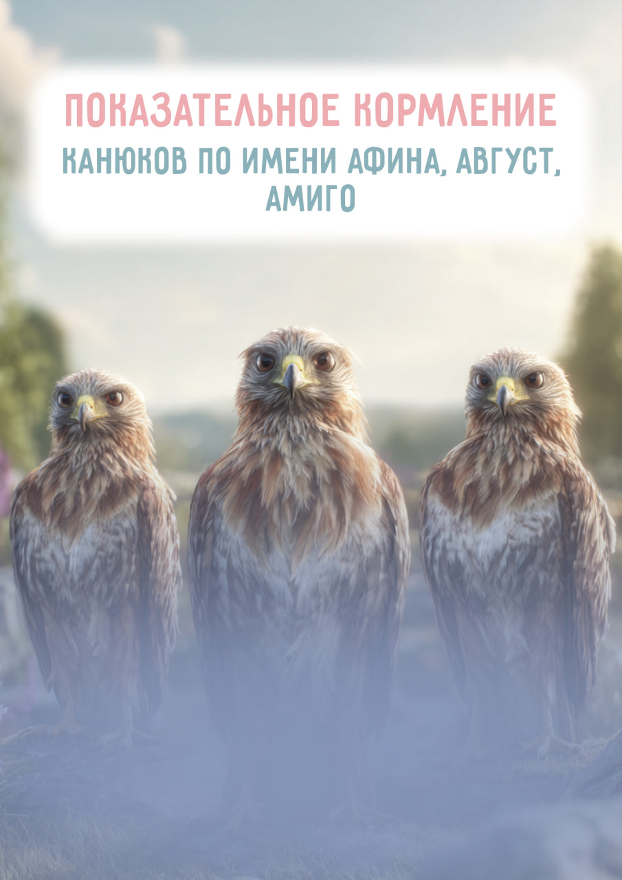 Время кормления: 16:20